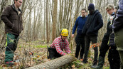 Les élèves de Saltus Campus explorent la plaine et les bois de Courances pour les travaux pratiques.