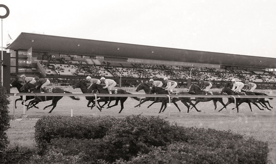 L'hippodrome d'Evry a connu ses heures de gloire dans les années 1970-1980.