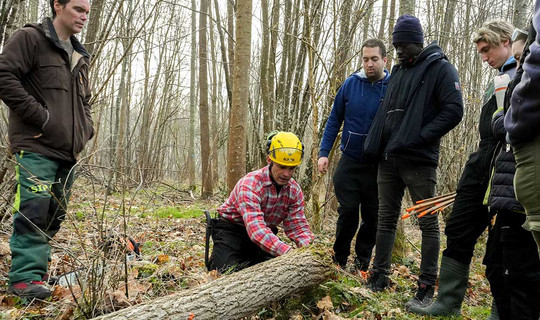 Les élèves de Saltus Campus explorent la plaine et les bois de Courances pour les travaux pratiques.