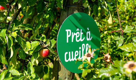 La Cueillette de Torfou La Cueillette de Torfou