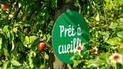La Cueillette de Torfou La Cueillette de Torfou