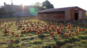 Un drive bio entre Sermaise et le Val-Saint-Germain©FermeDesSueurs