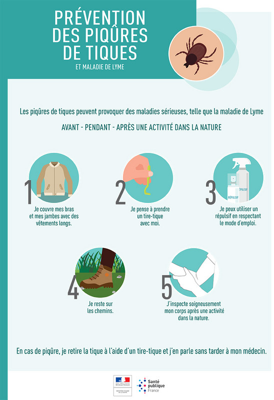 Promeneurs en forêts, attention aux tiques ! - Conseil ...