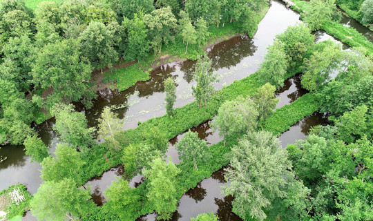 Marais au Domaine de Montauger, classé Espace Naturel Sensible (ENS)