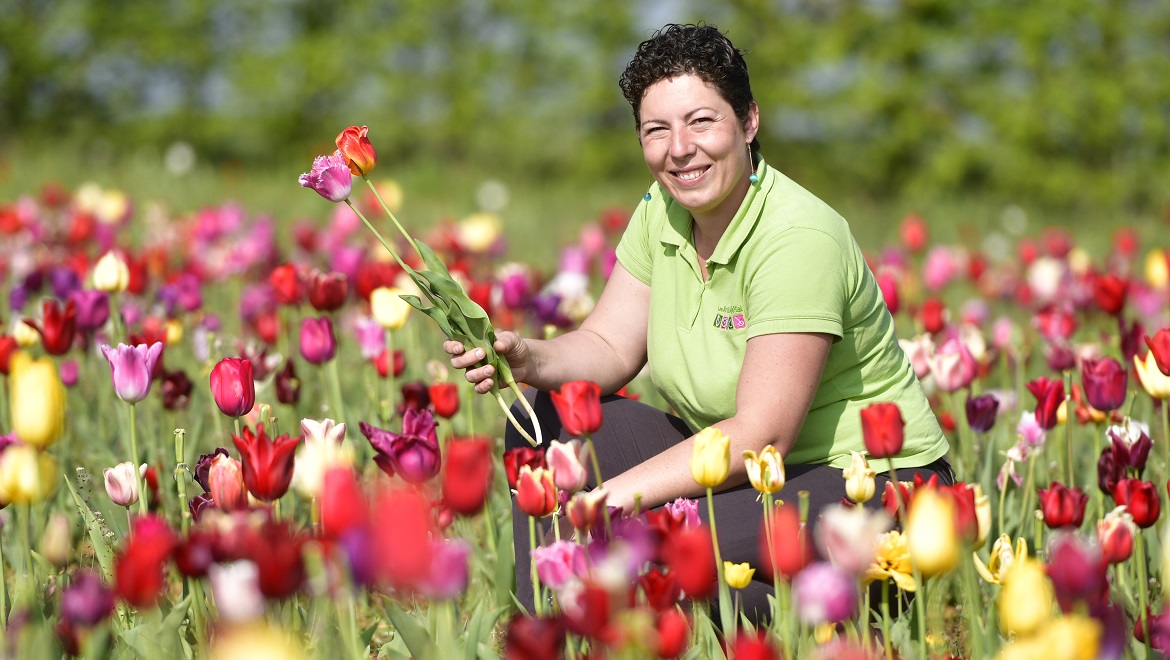 Horticultrice en train de cueillir des fleurs