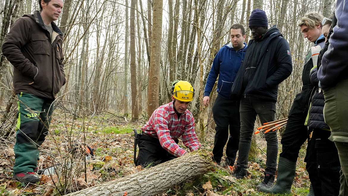 Les élèves de Saltus Campus explorent la plaine et les bois de Courances pour les travaux pratiques.