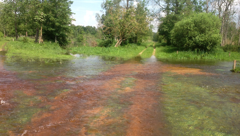 Les marais de Fontenay-le-Vicomte lors des inondations de Juin 2016 © DR