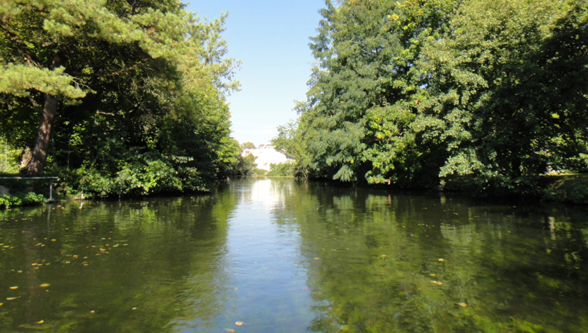 La rivière Essonne La rivière Essonne