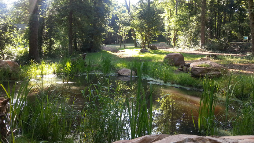 Mare aux Grands Avaux
