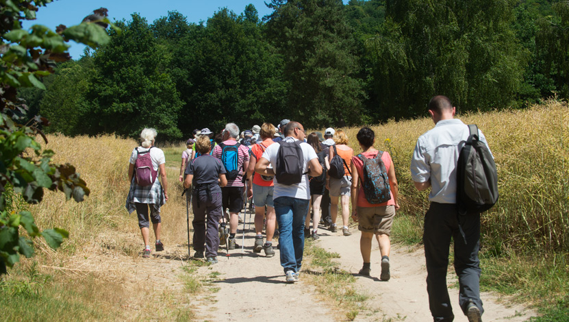 Randonnée en vallée de l'Essonne