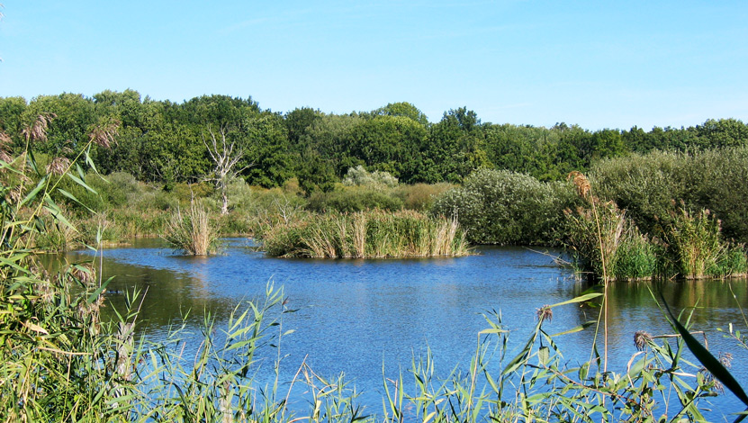 Marais de Misery