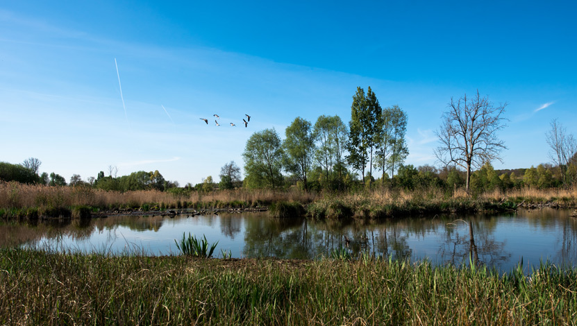 Marais de Misery