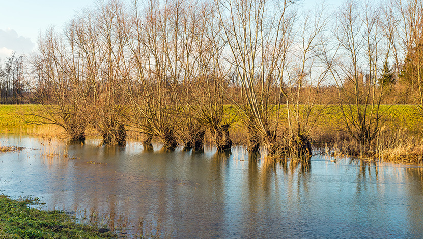 Inondations - Demande d\'indemnisation au plus tard le 18 avril 2022