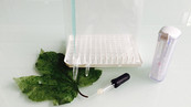 Le kit Wine lover - société Anova plus Le kit Wine lover - société Anova plus