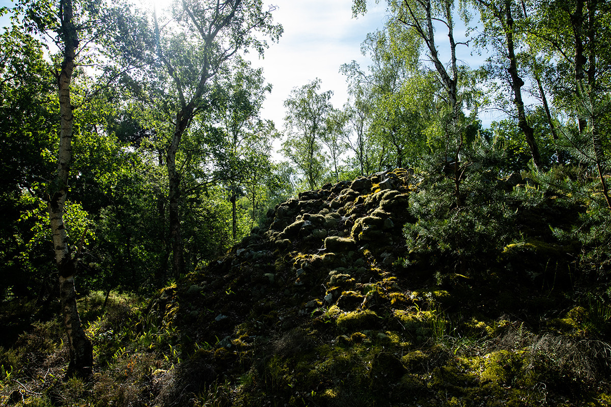 Arpenter la forêt de la Barre