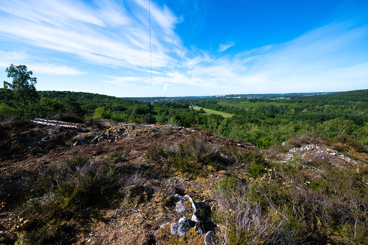 Arpenter la forêt de la Barre